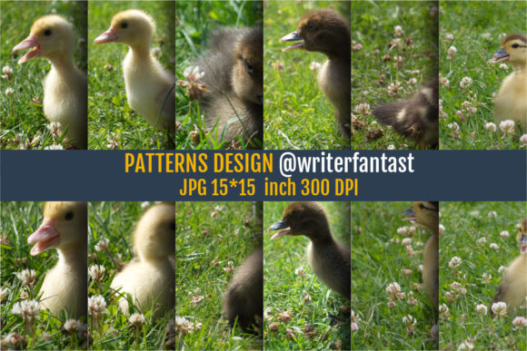 Duckling Patterns, Duckling Backgrounds: Simple Visual Tools That Just Work